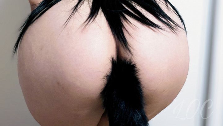 Come find out how my cat tail stays in