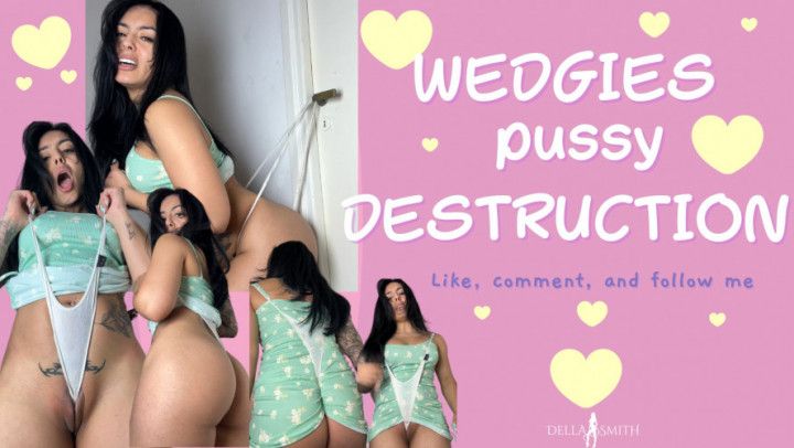 WEDGIES pussy DESTRUCTION