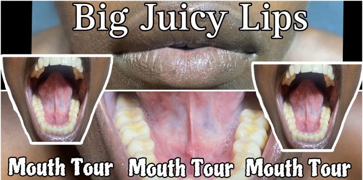 Soft Sounds And Saliva Play Mouth Tour