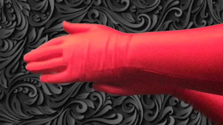 Arikajira Red Opera Gloves Hand Fetish