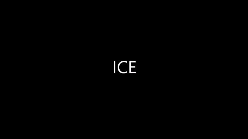 MrAlSouth - ICE
