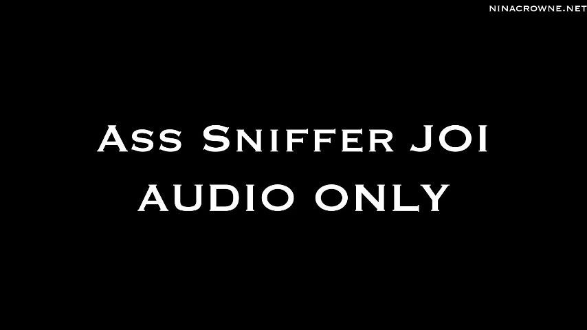 Asshole Sniffer JOI AUDIO ONLY