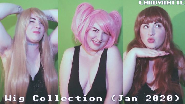 Wig Collection &amp; Try On! ft. my tits