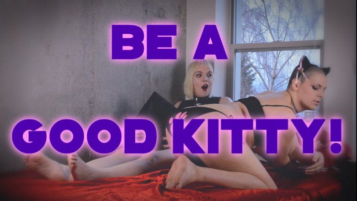 Be A Good Kitty