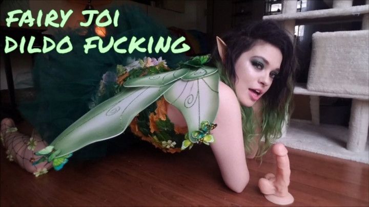 Fairy JOI Dildo Fucking