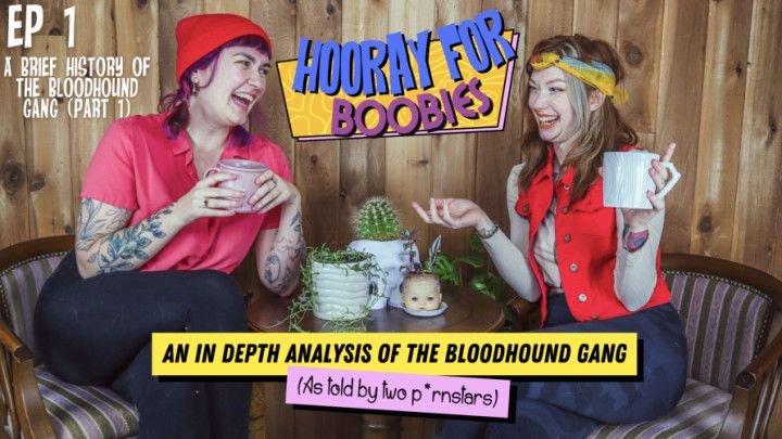 Episode 1 - Hooray for Boobies Podcast