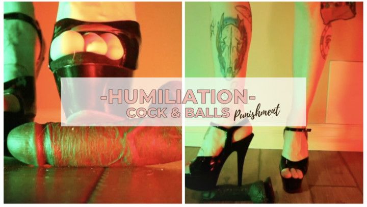 Humiliation Cock &amp; Ball Punishment