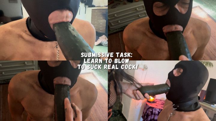 Submissive Task: Learn to blow to suck real cock