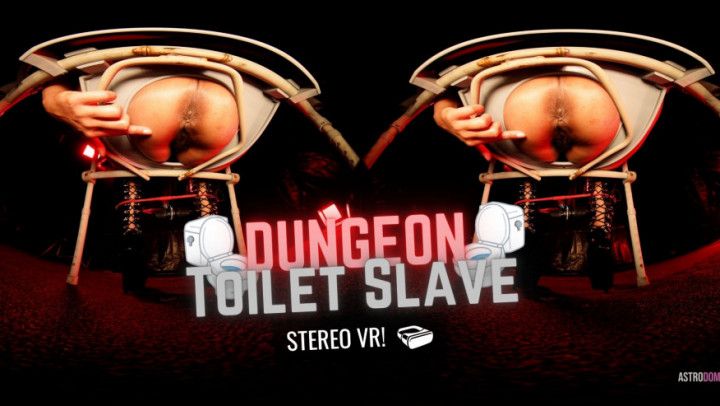 DUNGEON TOILET SLAVE VR - IMMERSIVE ASS EXPERIENCE