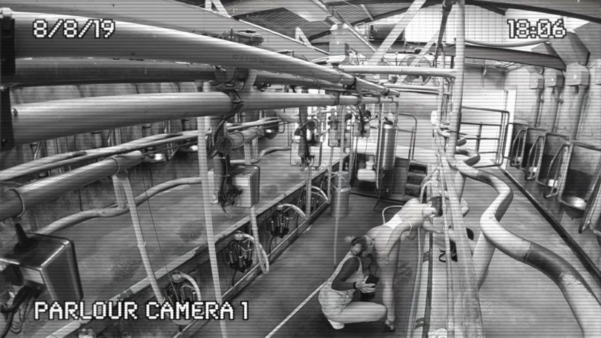 CAUGHT ON CCTV IN THE MILKING PARLOUR XX