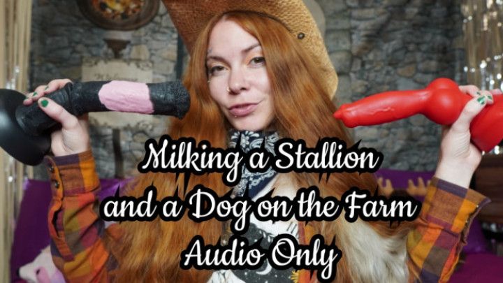 Milking a Stallion and Dog AUDIO ONLY