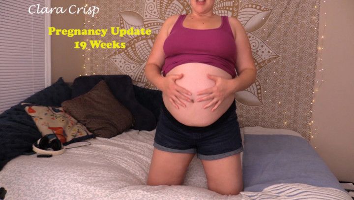 19 Week Pregnancy Update SD