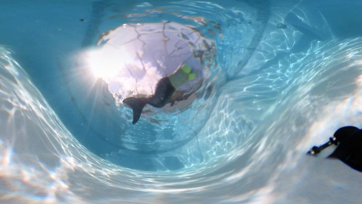 VR 360** Underwater Mermaid Megan Jones