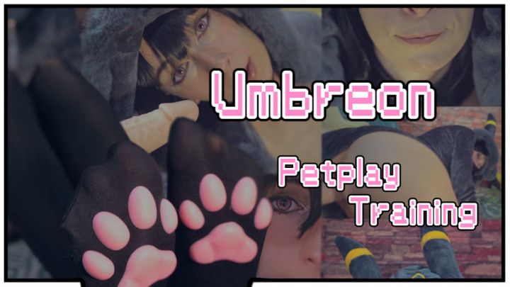 Umbreon Petplay Pokemon Training