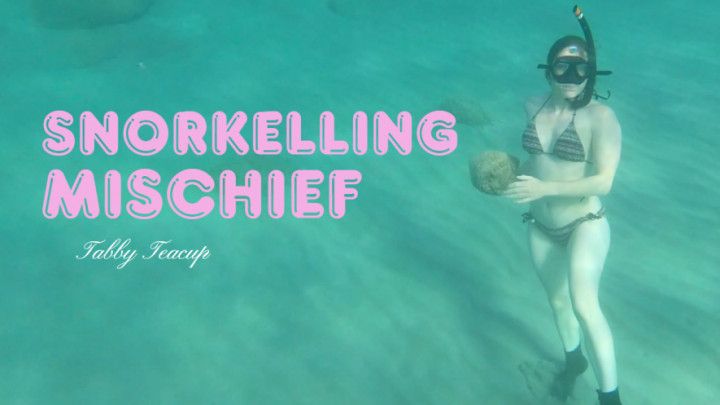 Snorkelling Mischief