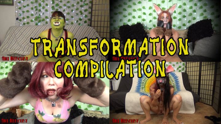 Transformation Compilation