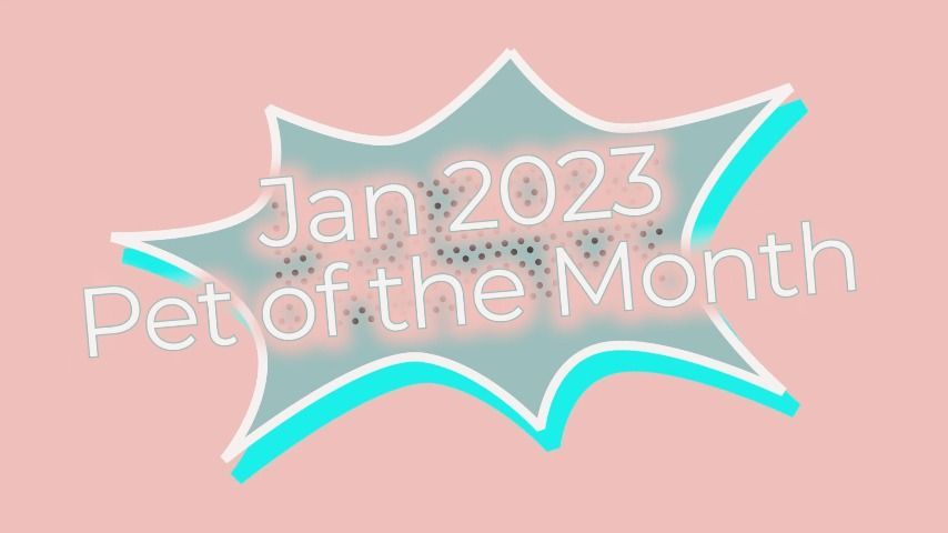 Jan 2023 Teachers Pet of the Month