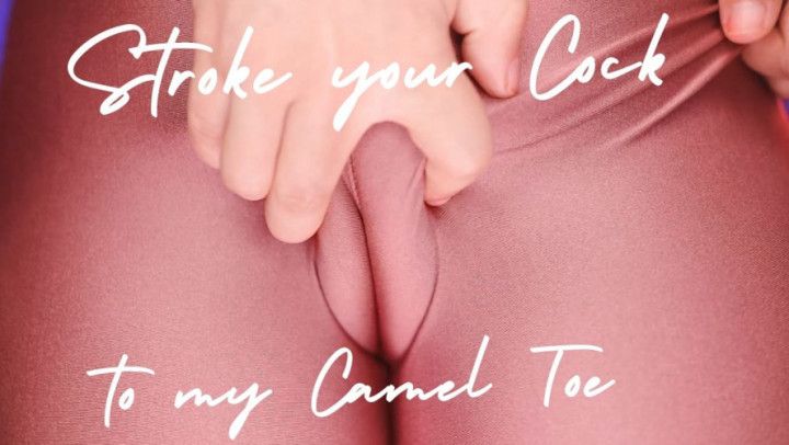 Stroke your Cock to my Camel Toe