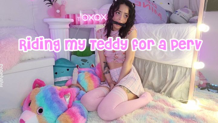 Fucking Teddy Bound and Gagged