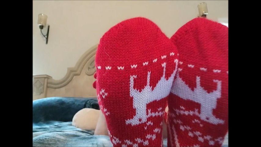 Christmas Socks Up In The Camera Play