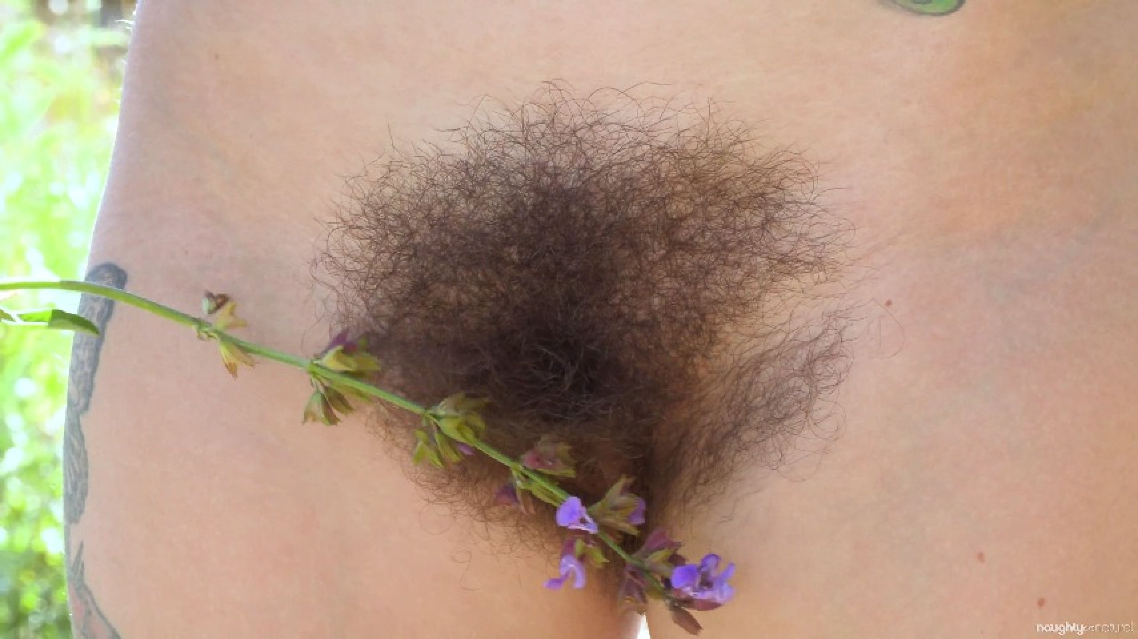 Worship Her Creamy Hairy Pussy