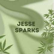 Jesse Sparks avatar