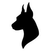 DoggVisionXL avatar