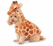 Midget Giraffe avatar