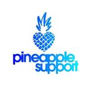 PineappleYSW avatar