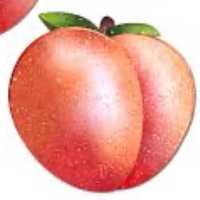 Horny for Peaches avatar