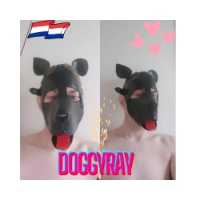 Slavedogray avatar