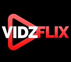 VidzFlix avatar