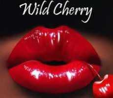 Wild Cherry Girls avatar