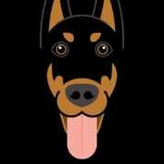 sdog2016 avatar