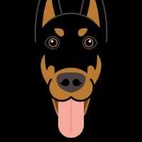 sdog2016 avatar