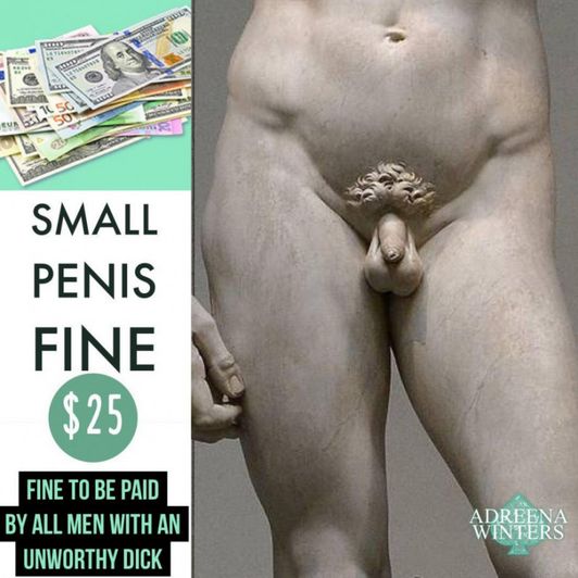 Small Penis Fine