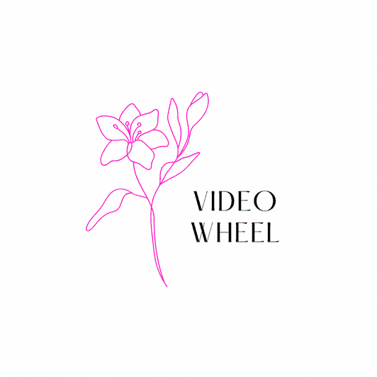 Video Wheel