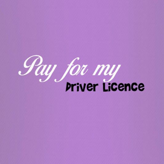 Driver Licence