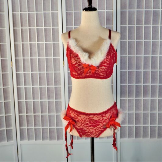 Sexy Mrs Clause Lingerie