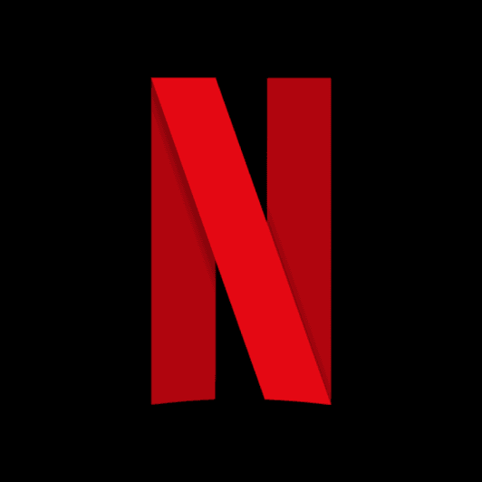 Netflix Subscription!