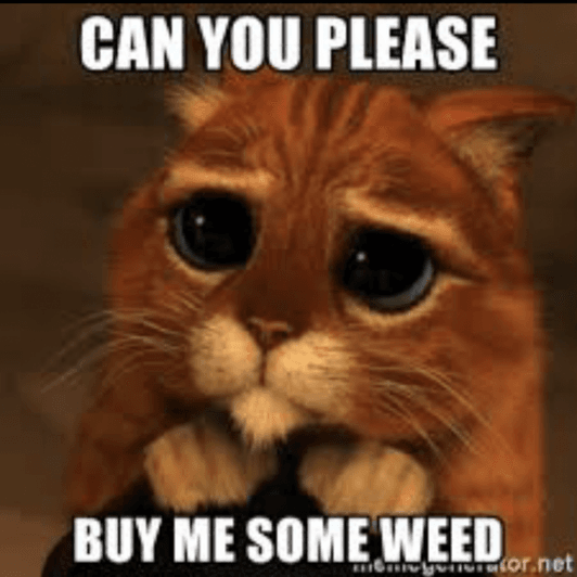Buy me Weed!