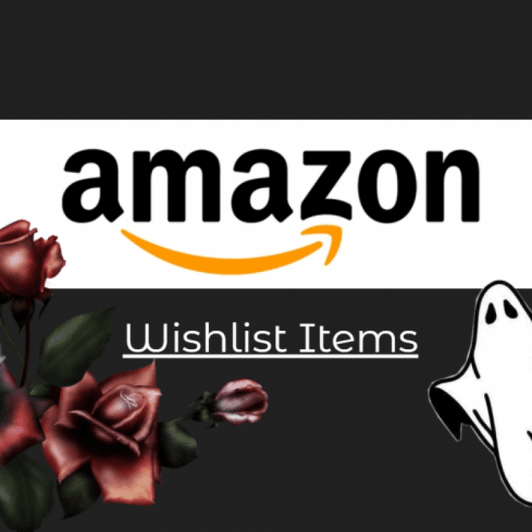 Amazon Wishlist Items