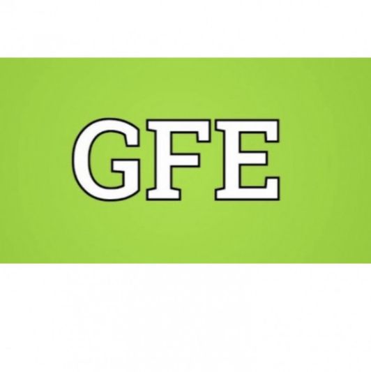The Girlfriend Experience GFE