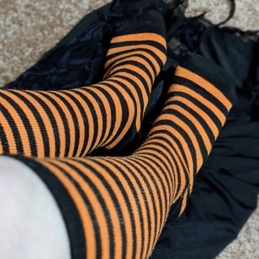 Tabbys Halloweenie Stockings