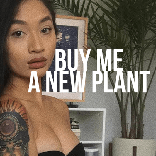 BUY ME A NEW PLANT