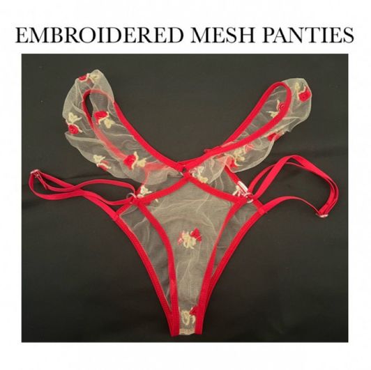 EMBROIDERED MESH PANTIES