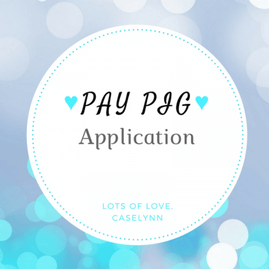 Pay Pig: Application