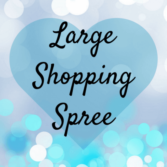 Shopping Spree: Large