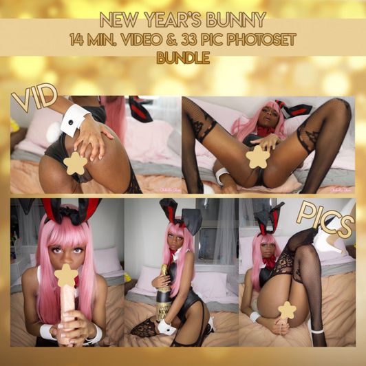 New Years Bunny Video and Photoset