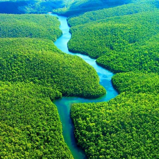 Buy me a trip to Amazon jungle